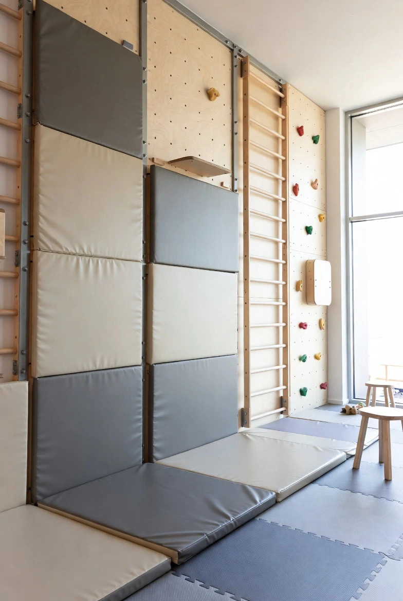 Climbing Wall or Indoor Gym